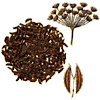 cumin